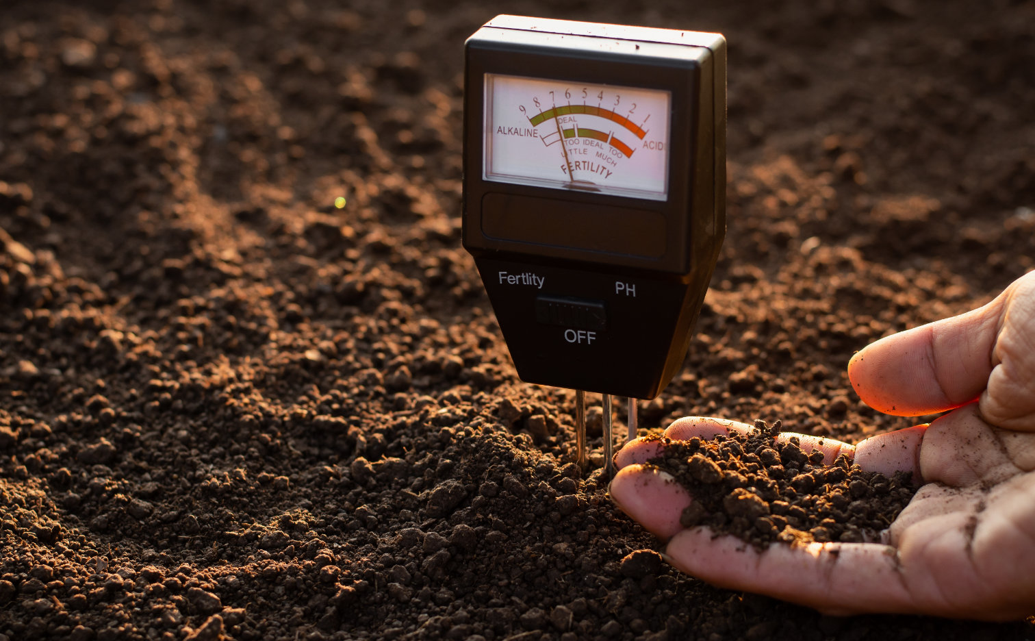 Soil pH - what should every farmer know about soil pH?