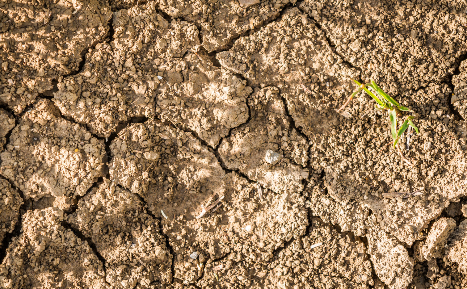 An effective step in the fight against drought